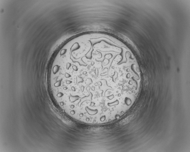 X0000062841035200602031557