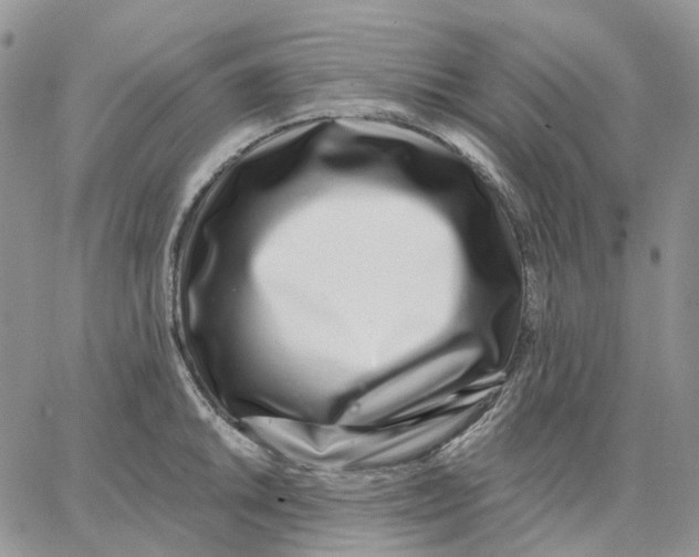 X0000062841046200602031557