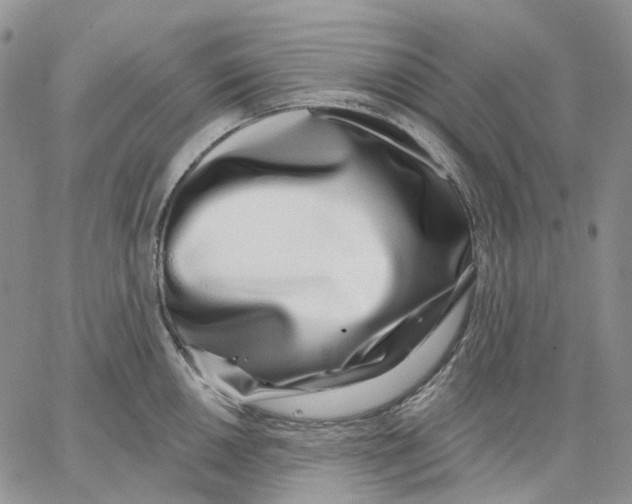 X0000062841050200602031557