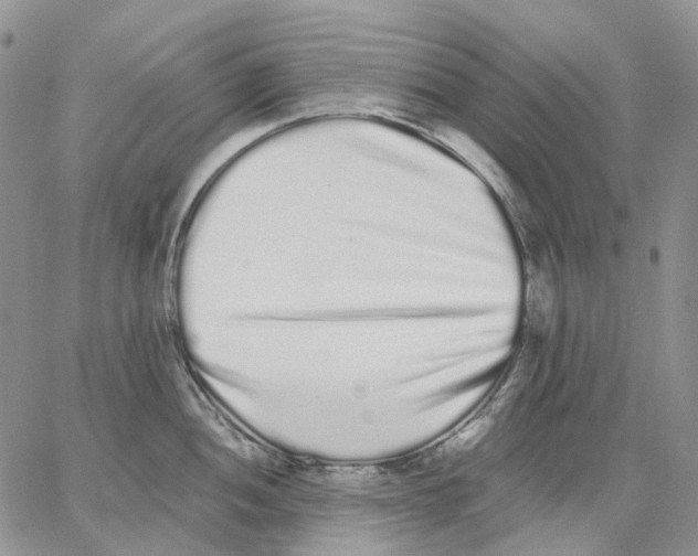 X0000062841052200602031557