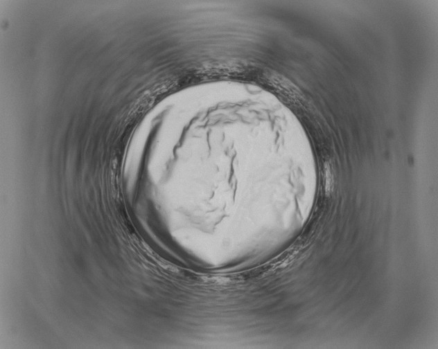X0000062841059200602031556