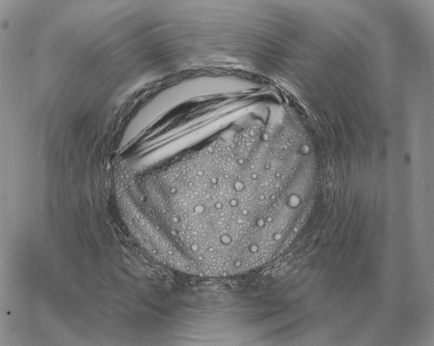 X0000062841063200602031556