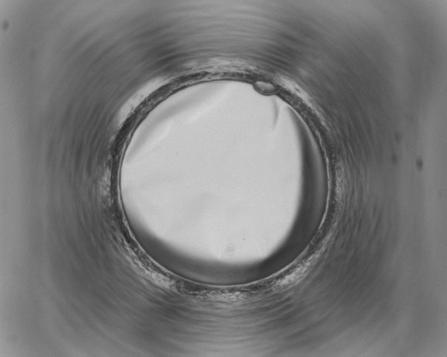 X0000062841066200602031556