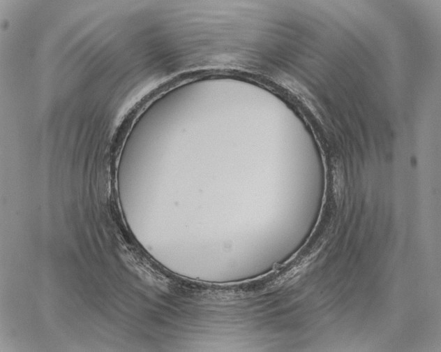 X0000062841069200602031556