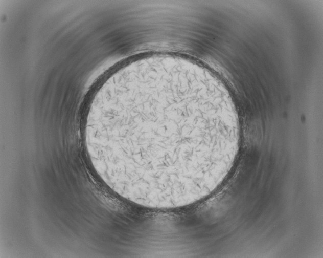 X0000062841070200602031556