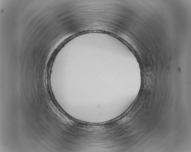 X0000062841076200602031556