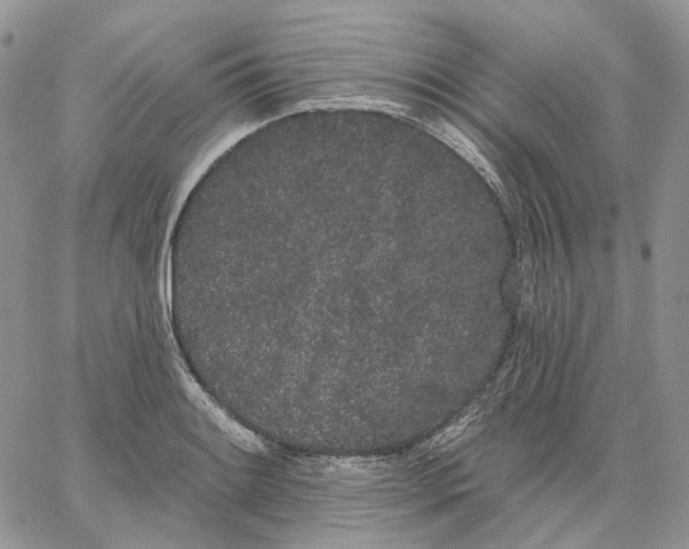 X0000062841084200602031556