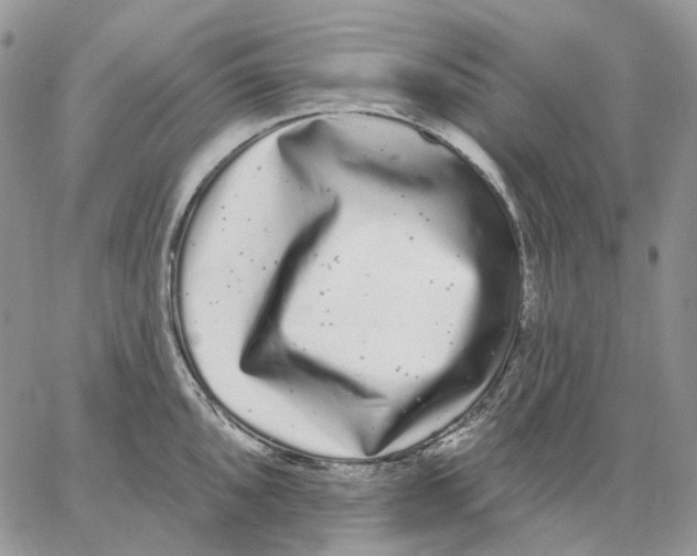 X0000062841096200602031556