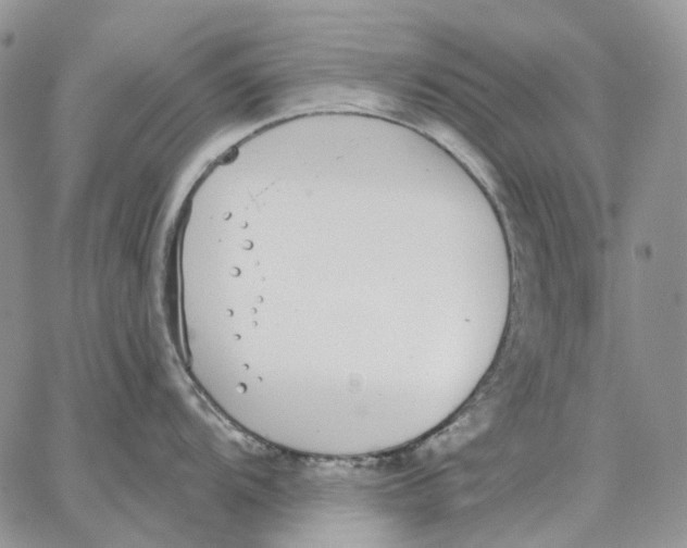 X0000062841104200602031555