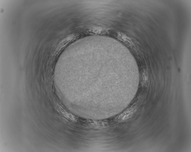 X0000062841105200602031555