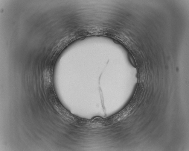 X0000062841106200602031555