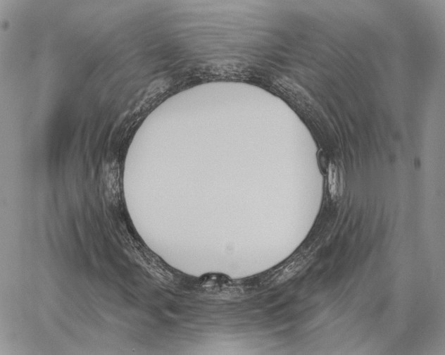 X0000062841107200602031555