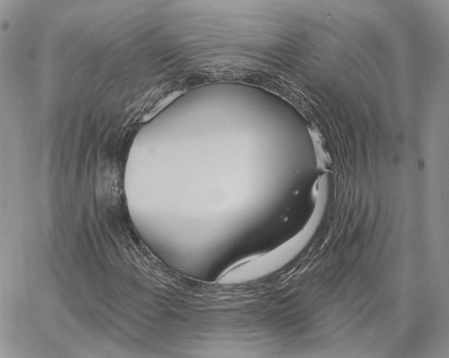 X0000062841108200602031555