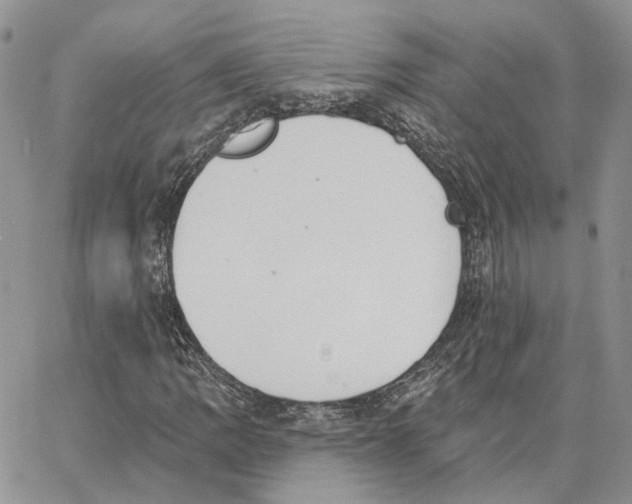 X0000062841109200602031555