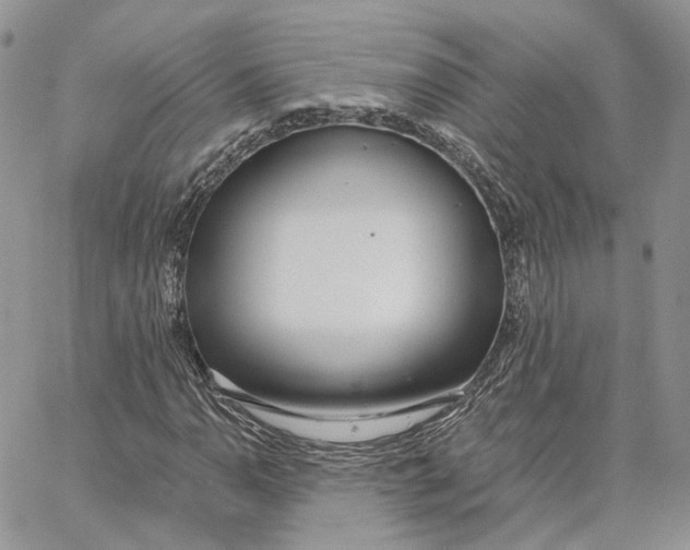 X0000062841110200602031555