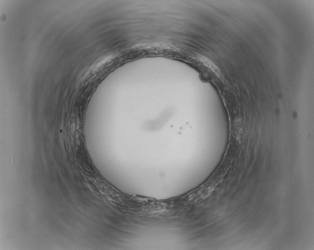 X0000062841111200602031555