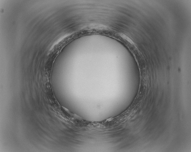 X0000062841112200602031555