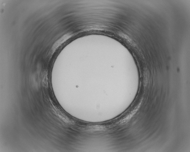 X0000062841113200602031555