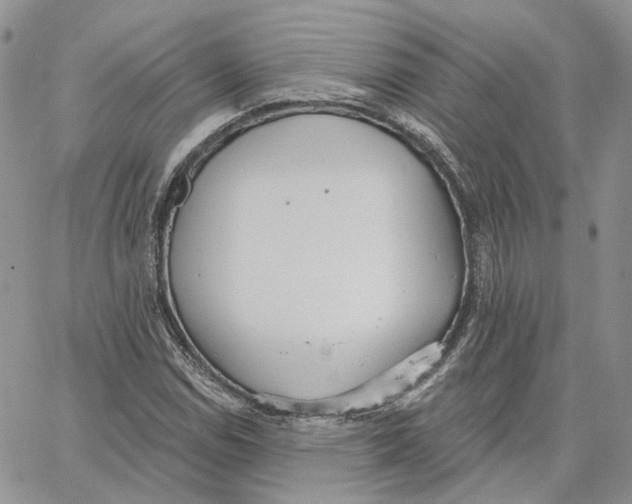 X0000062841114200602031555