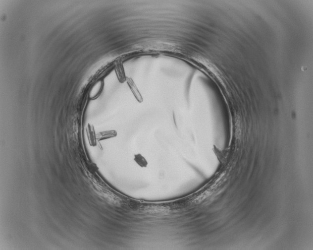 X0000062841115200602031555