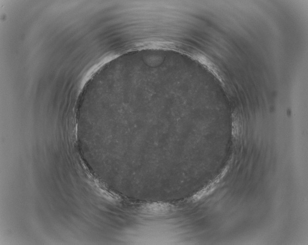 X0000062841117200602031555