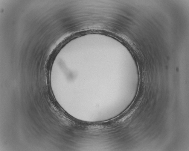 X0000062841118200602031555