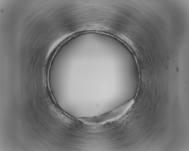 X0000062841120200602031555