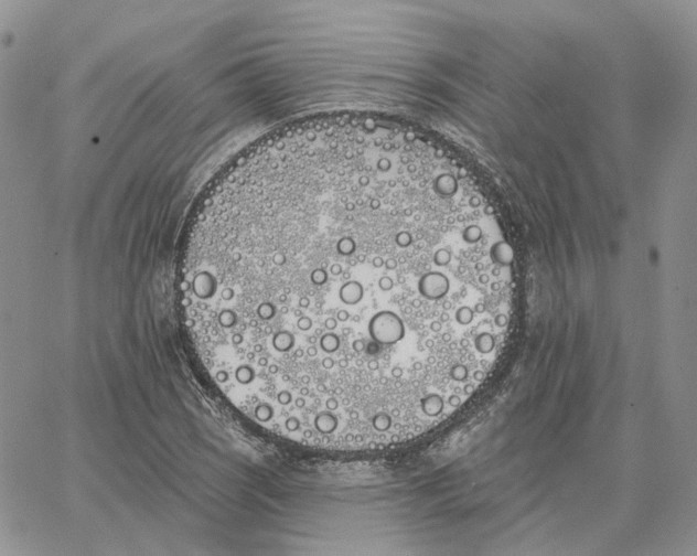 X0000062841121200602031555