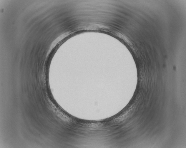 X0000062841122200602031555