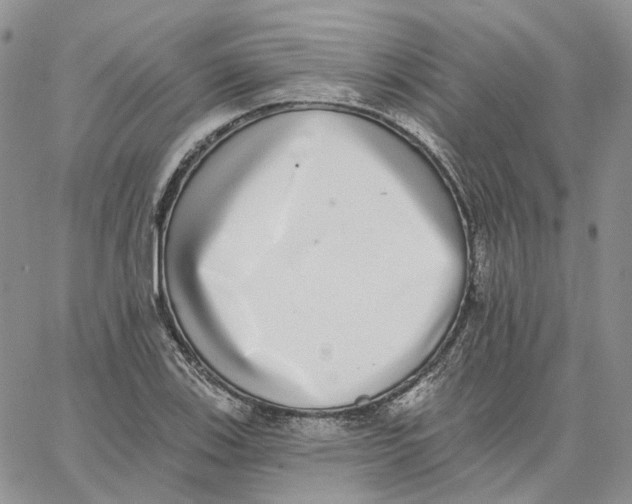 X0000062841123200602031555