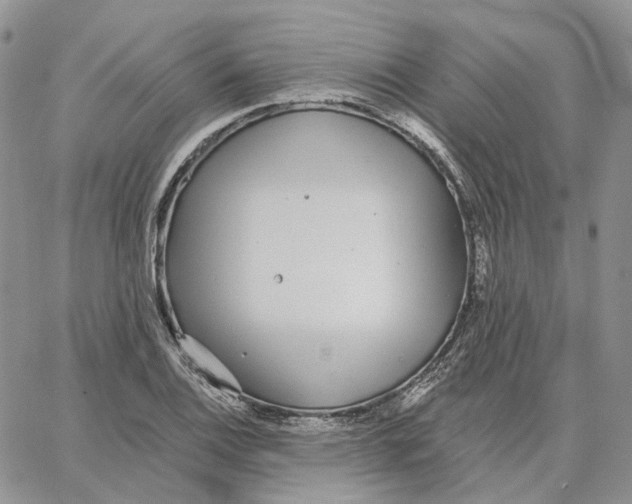 X0000062841124200602031555