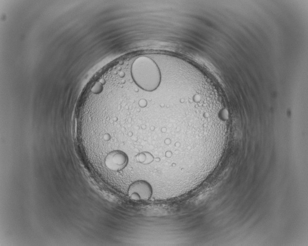 X0000062841125200602031555