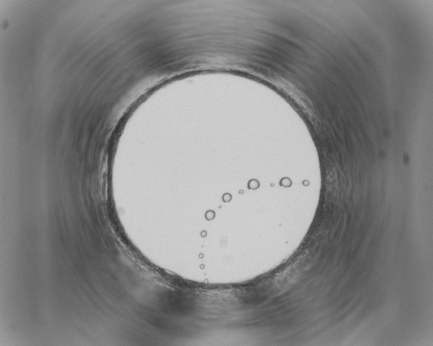 X0000062841126200602031555