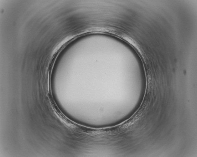 X0000062841127200602031555