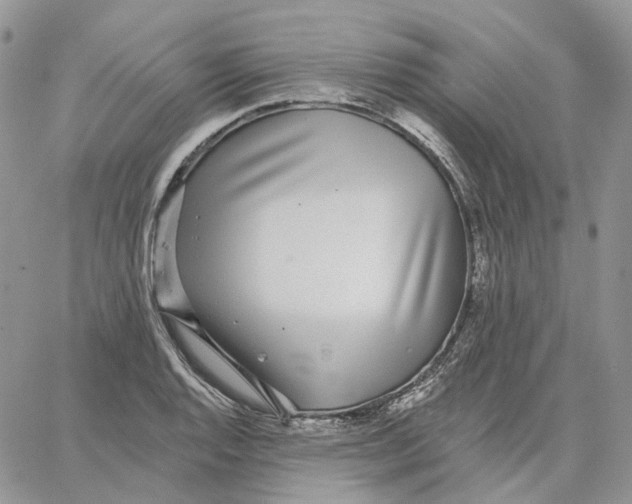 X0000062841128200602031555