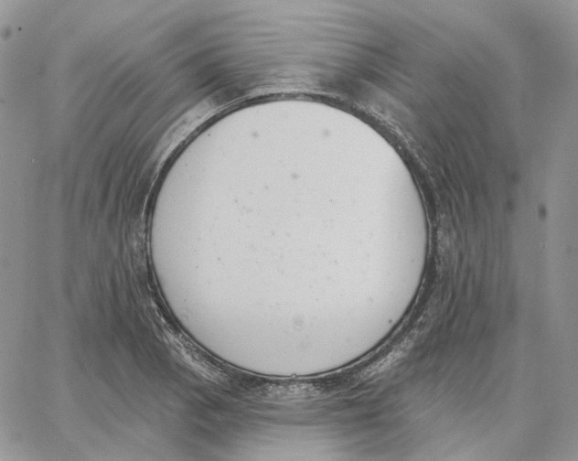 X0000062841129200602031555