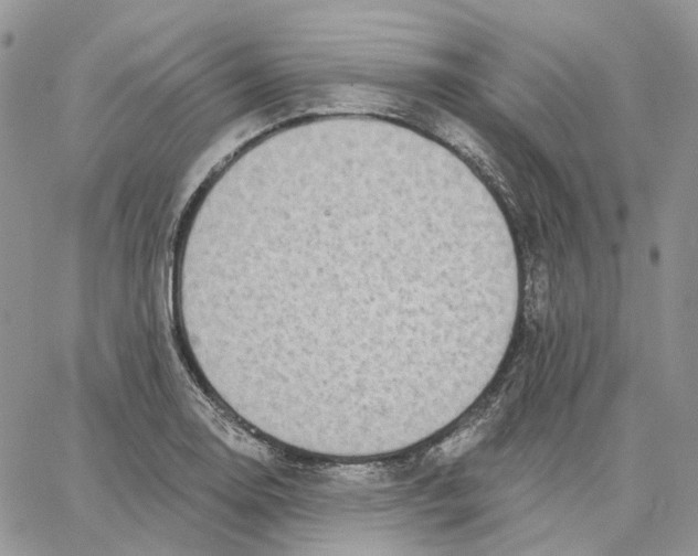 X0000062841130200602031555