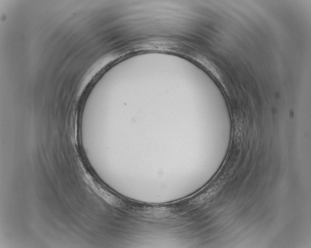 X0000062841131200602031555