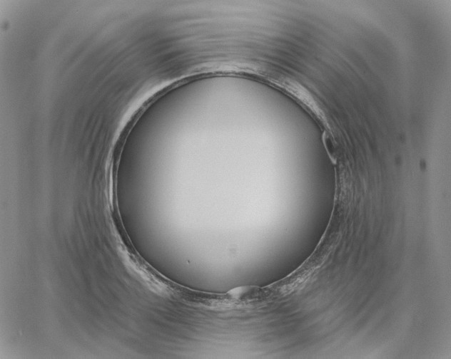 X0000062841132200602031555