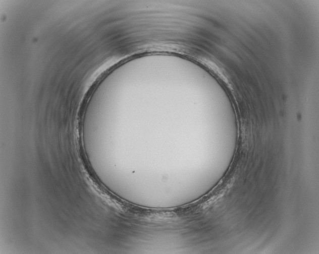 X0000062841133200602031555