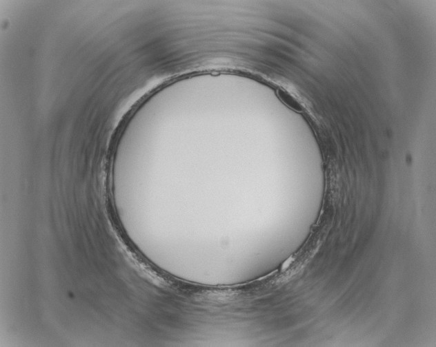 X0000062841134200602031555