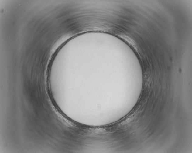 X0000062841135200602031555