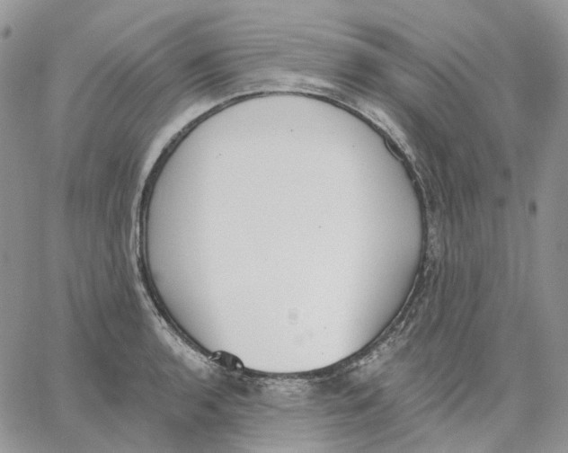 X0000062841136200602031555