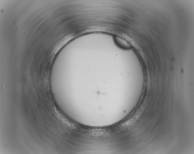 X0000062841137200602031555