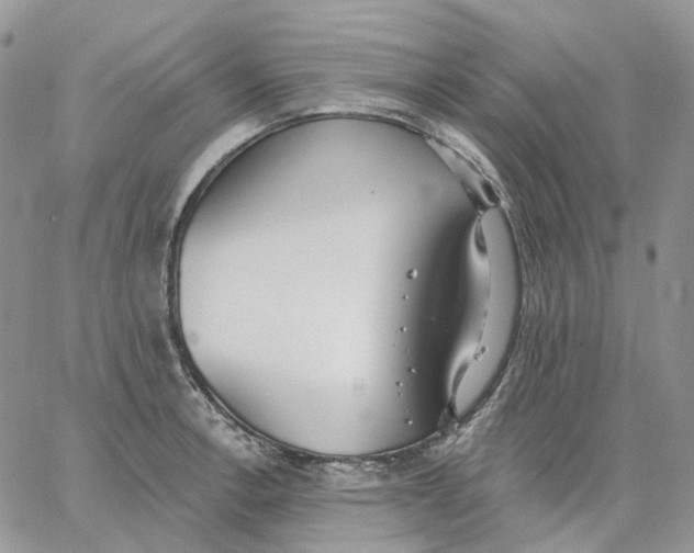 X0000062841138200602031555