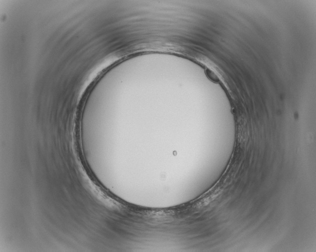 X0000062841139200602031555