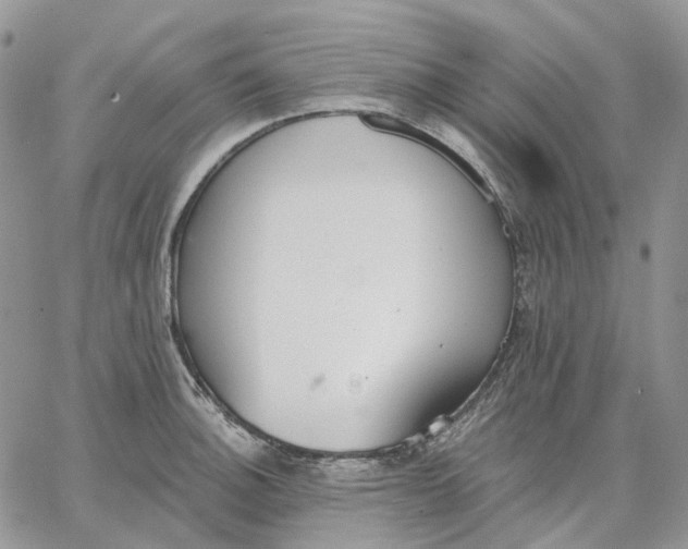 X0000062841140200602031555