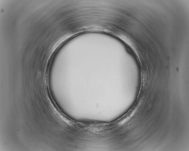 X0000062841141200602031555