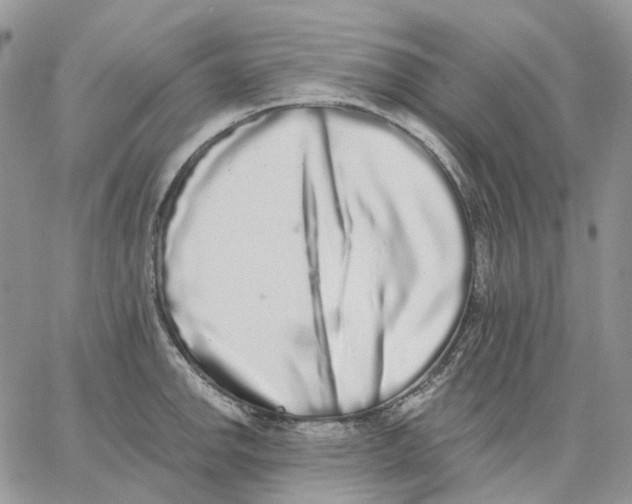 X0000062841142200602031555