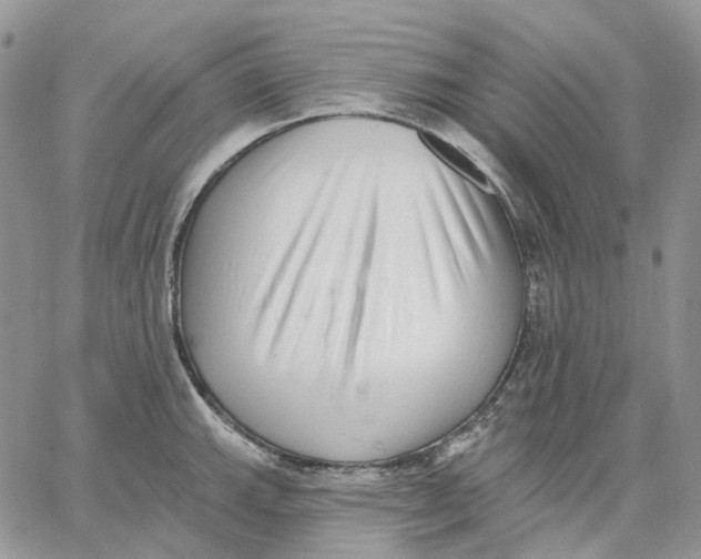 X0000062841143200602031555